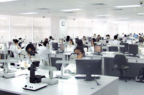 珠宝送检小程序上线，足不出户享受专业珠宝检测服务