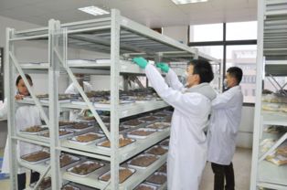 精益求精，笃行致远——做一流的计量检测技术服务专业机构