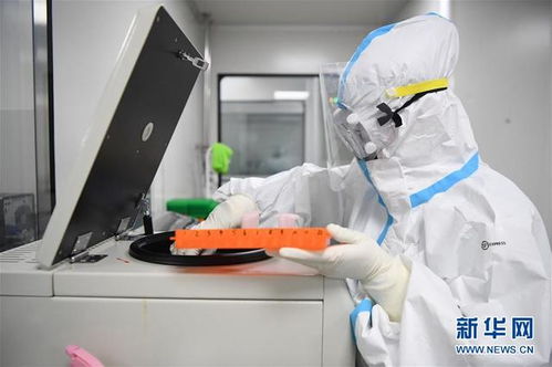 探访第三方核酸检测机构 独立检验检测服务的幕后英雄